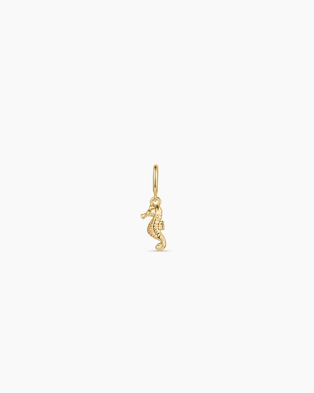 Seahorse Parker Charm