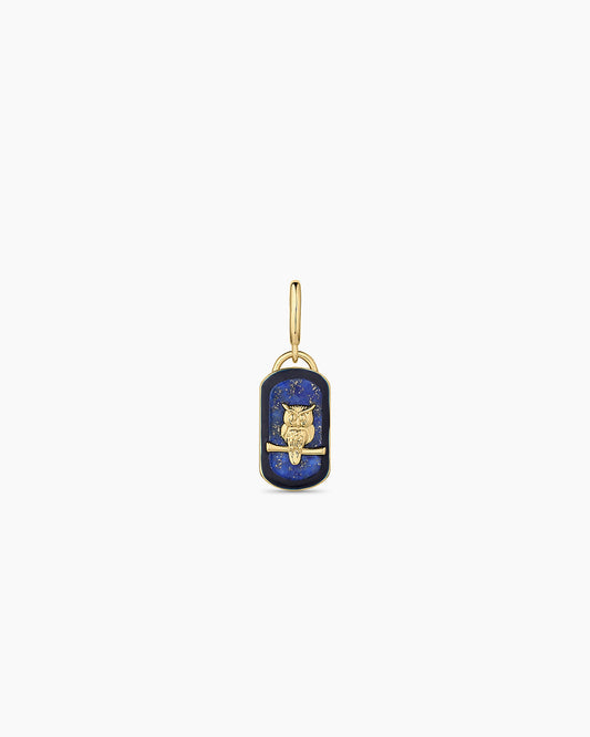 Power Gemstone Wisdom Parker Charm