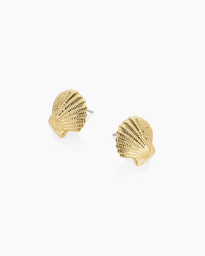 Shell Statement Studs