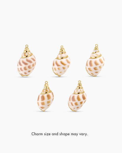 Tulip Shell Parker Charm
